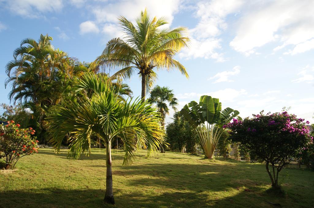 Résidence Anamanga Sainte-Anne  Bagian luar foto